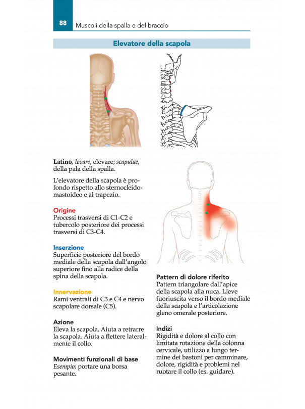 Atlante tascabile dei Trigger Point.