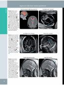 Ostetricia - Diagnostica per immagini