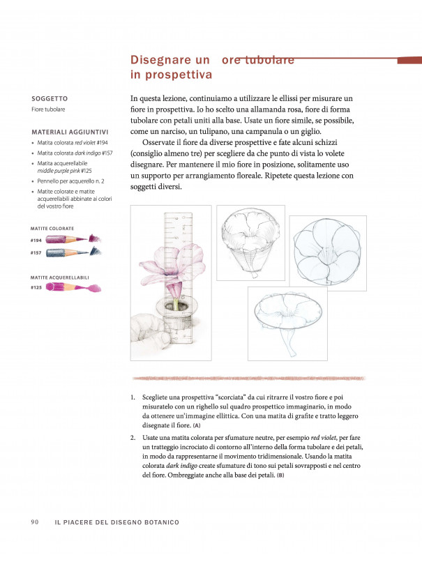 Il piacere del disegno botanico