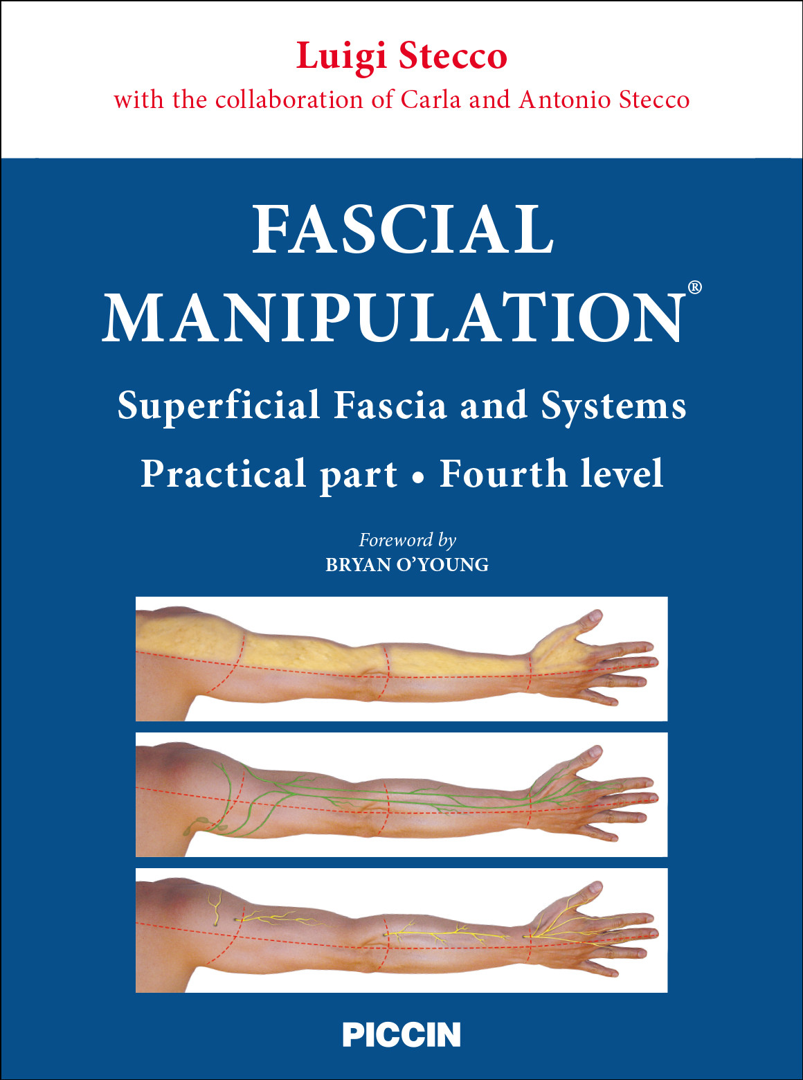 Myofascial Manipulation: Theory •• 洋書　美品 Fascial Manipulation for Internal Dysfunction: Luigi Stecco