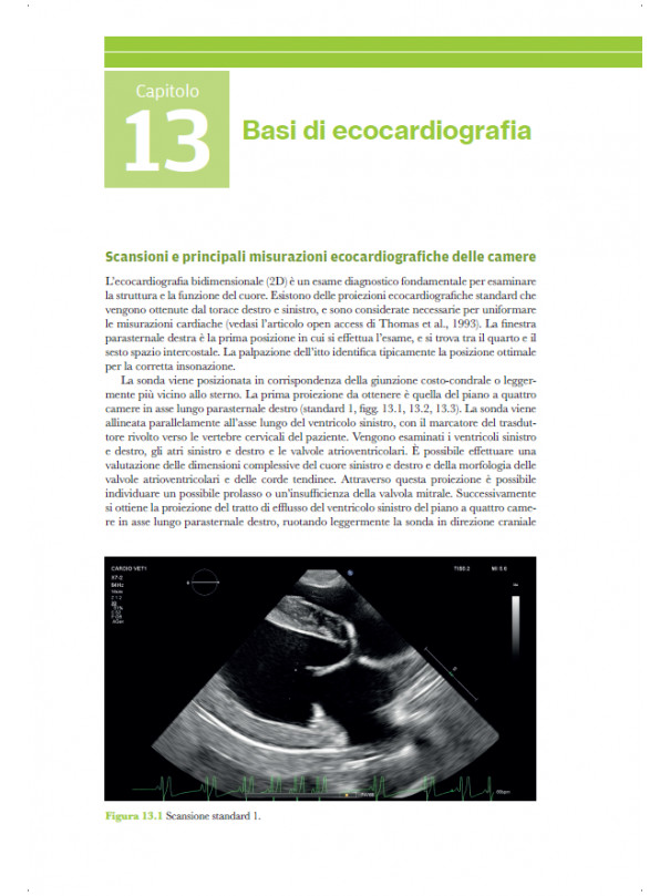 Medicina cardiorespiratoria del cane e del gatto