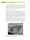 Medicina cardiorespiratoria del cane e del gatto
