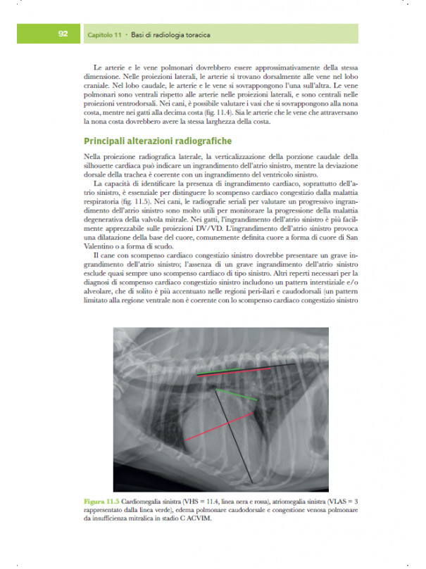 Medicina cardiorespiratoria del cane e del gatto