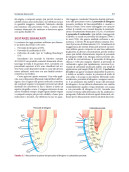 IL RESTAURO DEL DENTE TRATTATO ENDODONTICAMENTE