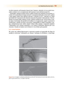 Apparecchiature e radiologia interventistica
