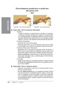 Manuale della mobilizzazione delle articolazioni - Le estremità