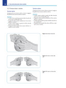Osteopatia craniosacrale