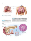 Anatomia & Fisiologia l’essenziale