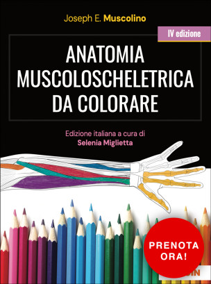 Anatomia muscoloscheletrica da colorare