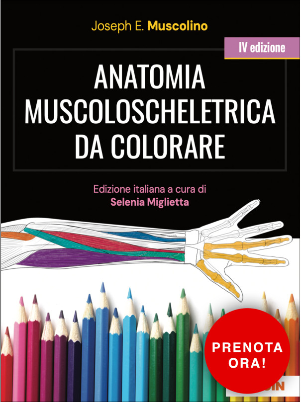 Anatomia muscoloscheletrica da colorare