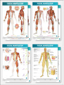 FASCIAL MANIPULATION® 4 Posters Package