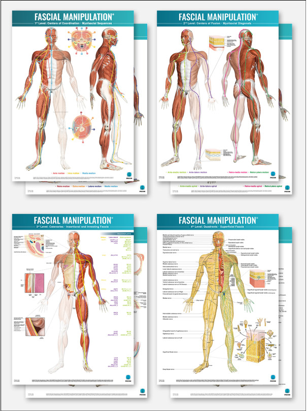 FASCIAL MANIPULATION® 4 Posters Package