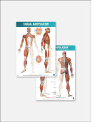 FASCIAL MANIPULATION® 4 Posters Package