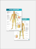 FASCIAL MANIPULATION® 4 Posters Package