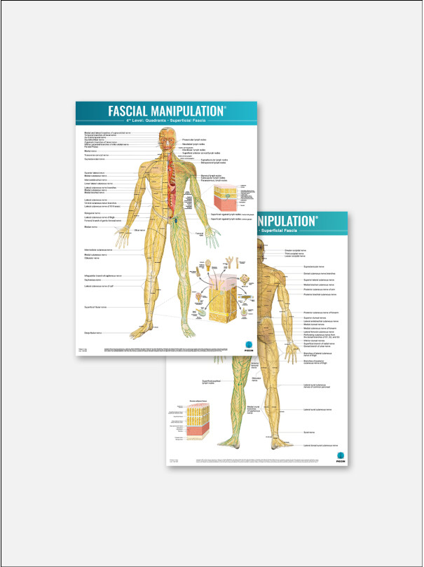 FASCIAL MANIPULATION® 4 Posters Package