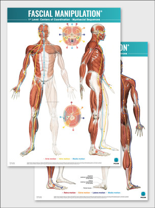 FASCIAL MANIPULATION ® 1st Level Poster: Centers of Coordination • Myofascial Sequences