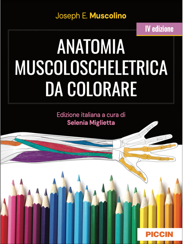 Anatomia muscoloscheletrica da colorare