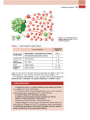 Chimica e Propedeutica Biochimica - Semestre Filtro Medicina