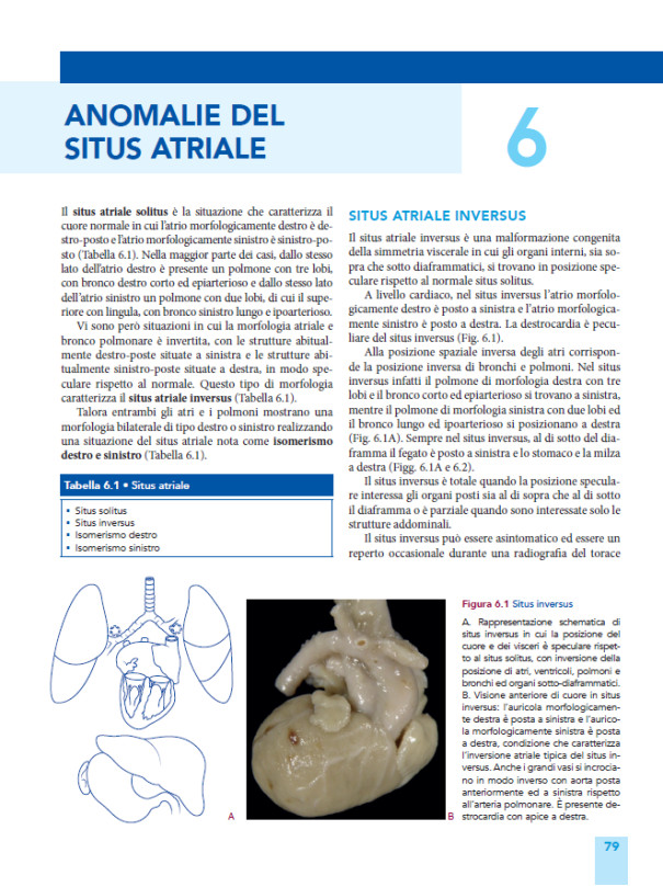 Cardiopatie congenite. Testo Atlante