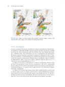 Gli elementi dell’apprendimento statistico - Data mining, inferenza e previsione